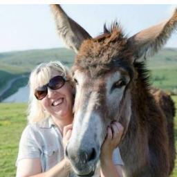 Saddleworth Donkey live at Saddleworth llama Trekking. They are rescue donkeys and can come out to events to raise funds. You can also adopt a donkey as a gift