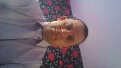 hate the albion love the wolves, passion for cars ,kik smudger74.