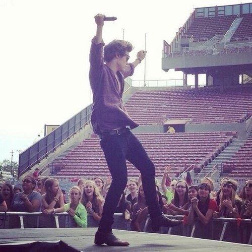 Main accounts: @Hello_Harold, @LukeAtMeNiall_ & @HarrysAmor