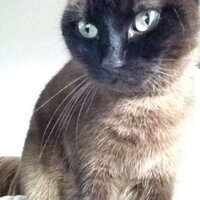 Louise Platts (@louplatts) 's Twitter Profile