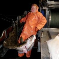 wes erikson (@weserikson) 's Twitter Profile