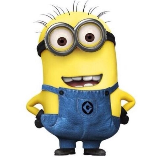 minion yourpetminion twitter