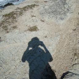 Zear110's profile picture. VENEZOLANA