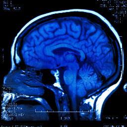 nynjsipp's profile picture. New York & New Jersey based not for profit collaboration of renowned faculty,dynamic Interactive sessions, education, publications, certification & advocacy~