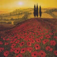 interests are in WW1, WW2 and political science, thanks for stopping at my page