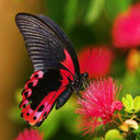 Patty Carson - @PattyCarson - Twitter