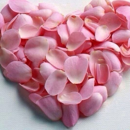 tatid1964's profile picture. ككِل ششيء ااسستطيععَ