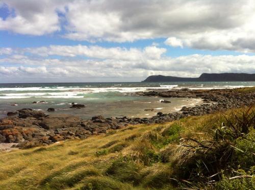 AnnaPrenc's profile picture. 