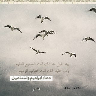 لا اله الا الله ، محمد رسول الله ،