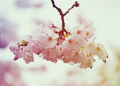 yuyuyuyuyu1234's profile picture. 