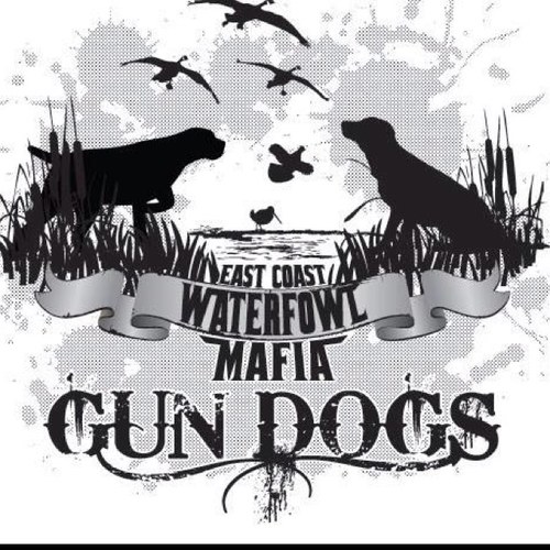 Waterfowl chasers from