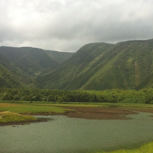 ButlerTia's profile picture. 