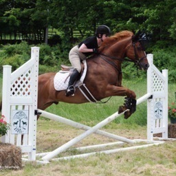 Freedom, IPOs, integrity, horses