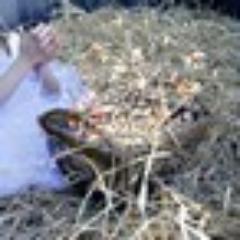 Обо всём расскажу, пошучу, рассмешу, со всеми общаюсь, всё интересно и понимаю что чего то не хватает...)))