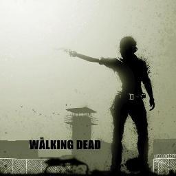 joker's fan, I am a walker(sqn),Amo Dexter,Fã de FMA,gamer.