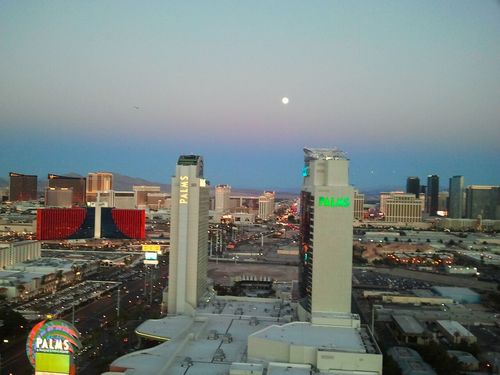 Gambler in Las Vegas