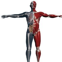 Looking to shed 7-15 lbs in 7 days the healthy way?  Let us show you how to succeed with a complete nutritional program for short and long term weight loss.