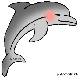 RandolphDolphin Profile Picture