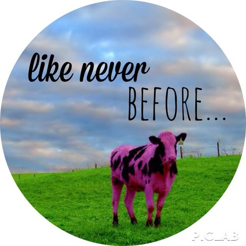 we are a Full Service #CreativeAgency, servicing the Triad & beyond. The Purple Cow always thinks outside the barn- everyday is a new pasture.