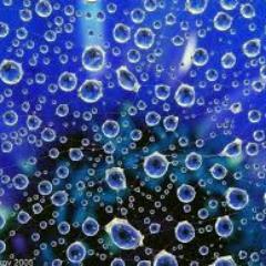 If you change the way you look at things, the things you look at change.-Wayne Dyer