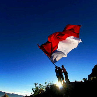 iscam_29's profile picture. always positif