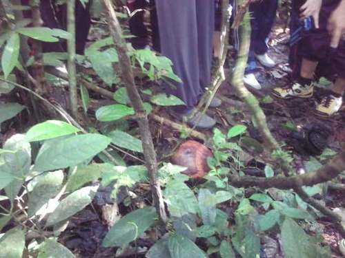 MasayuAmat's profile picture. Increasing Efficiency and Sales of our Clients