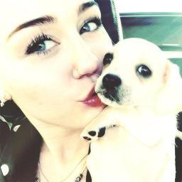 Please'm Lovatic, Smiler, Selenatic, Directioner & Tinista bitch♡
StayStrong&RadiateLove.