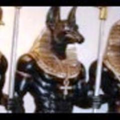 SourceStreams's profile picture. Stop being Complacent