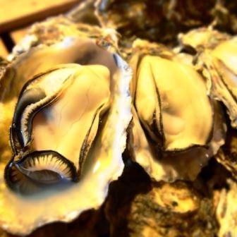 漁師の浜焼き あぶりや 80分食べ放題 Aburiyagyoson Twitter 漁師の浜焼き あぶりや 80分食べ放題 Aburiyagyoson Twitter