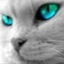 Mollie Biggs - @MollieBiggs1 - Twitter