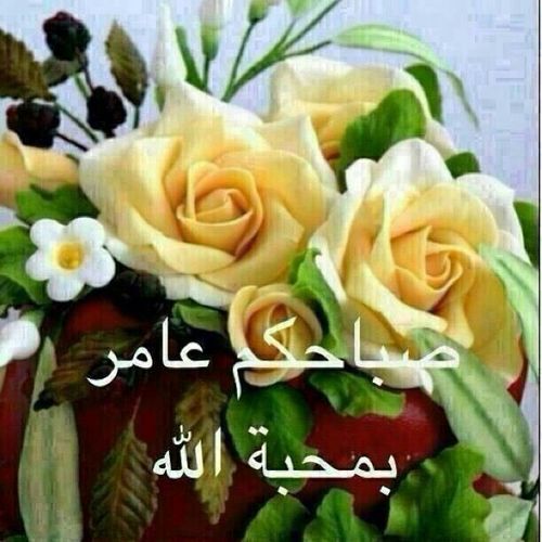 English-Arabic translator