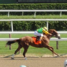 Handicapper of Horse Races, Stock Investor, Forex. Beer, Tequila and Whiskey. Saratoga Springs, NY, Tampa Bay, FL, Dublin,Ire, Manchester, UK. Cheers!