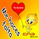 Gallego (@232Alexander) Twitter