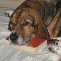 Marty McKeever (@hotkeever) 's Twitter Profile
