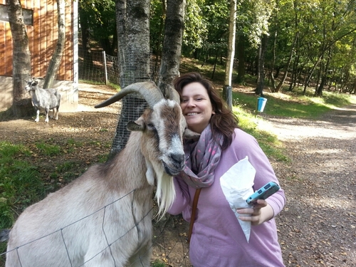 katjanke's profile picture. Journalistin, Tiere lieber füttern als futtern, Taschen kann man immer gebrauchen