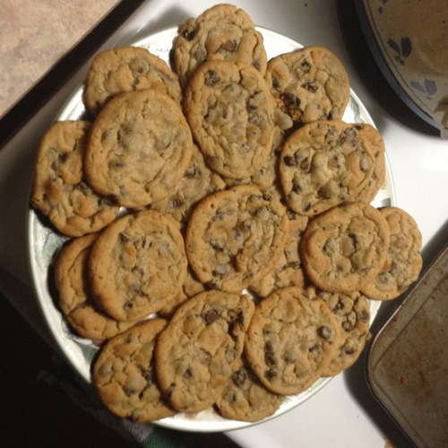 FKP4LIFE's profile picture. Fat Kid Problems