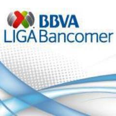 Organizar, Reglamentar, Administrar, Promover y Difundir la práctica del fútbol asociación...