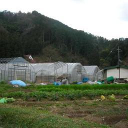 田舎あるあるです。気軽にフォローしてくださいね♪気に入ったらRTしてもらえると喜びます(*´ω｀*)