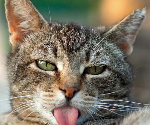 Wataru6930's profile picture. 