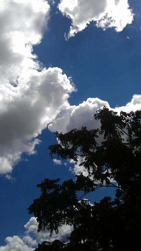 email4csda's profile picture. 