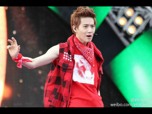 [V] @DK_KpopRP ¤ 91 Lines ¤ EXO-K Leader Suho ¤ #WeAreSM