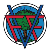 Federación Vizcaína de Fútbol (@fvf_bff) 's Twitter Profile