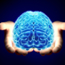 DeafNeuro (@deafneuro) Twitter profile photo DeafNeuro (@deafneuro) Twitter profile photo