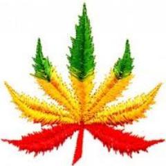 angedimaria lenfant cannabis pret atouts