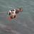 Lucyparkes123's profile image
