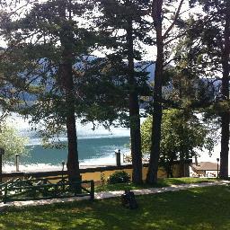 1muslimbrother's profile picture. 