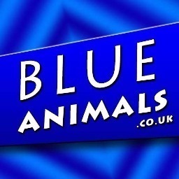 Footage in the Blue Animals library has been filmed on Digibeta or HD and can be supplied on all formats.