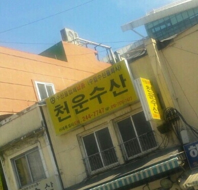 루션누나의 이 곳은 천국인가 손동운 유저