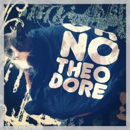 OhNoTheodore's profile picture. Uh Oh.