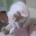 （栗ｏ･ω･）ｏ (@kuribou19831124) Twitter profile photo